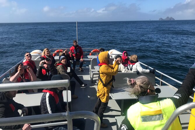 Boat Tour in Vestmannaeyjar - Final Thoughts: Is It Worth It?  