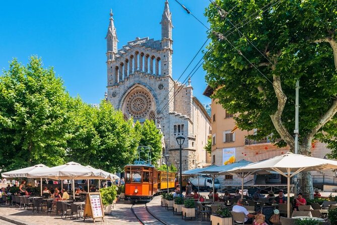 Boat, Tram and Train Tour in Mallorca from the South - Possible Drawbacks and Considerations