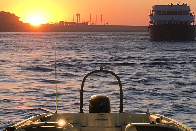 Boat Trip in Douro Porto - Practical Details and Experience Highlights