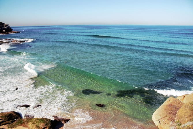 Bondi Beach and Beyond private tour - Deep Dive into the Itinerary
