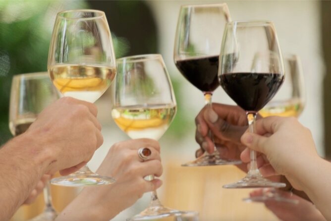 Bordeaux in a Day City and Chateau Visit Shared Walking Tour - The Sum Up: Who Will Love This Tour?