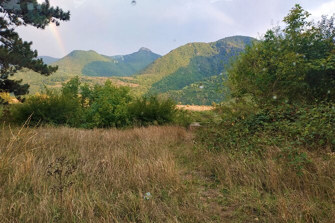 Borjomi Tour from Tbilisi with Bakuriani Resort and Soviet Train Ride - Practical Aspects of the Tour