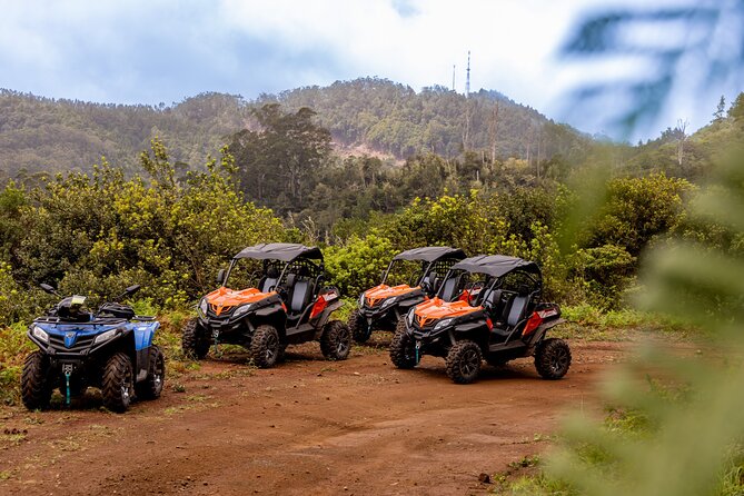 Buggy Adventure in Madeira off Road - A Deep Dive into the Madeira Buggy Experience