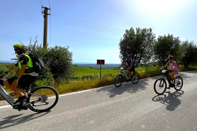 By Ebike: Visit an Art Park and Wine Taste in the Classic Chianti - The Charm of Villa di Geggiano