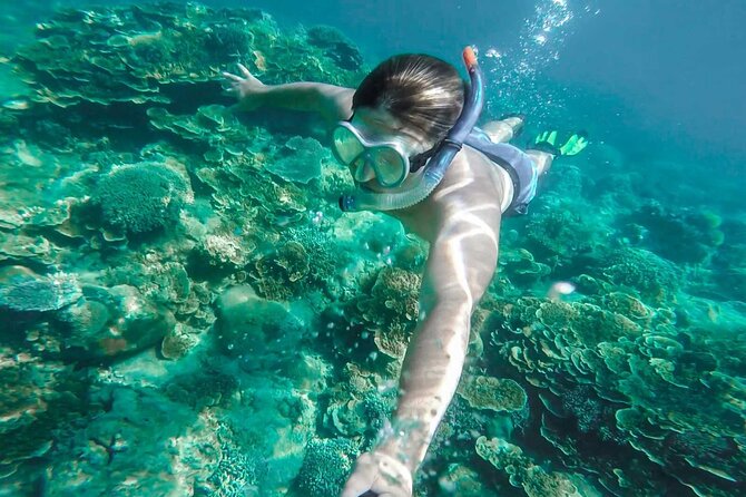 Cala Gonone Snorkeling in the Orosei Gulf - Why Choose This Tour?