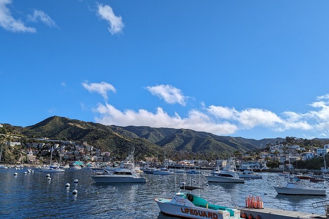 Catalina Scavenger Hunt Walking Tour and Game - Highlights of the Tour
