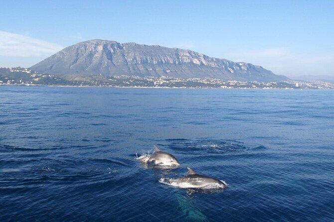 Catamaran ride with aperitif and white wine from Denia - What We Loved About the Experience