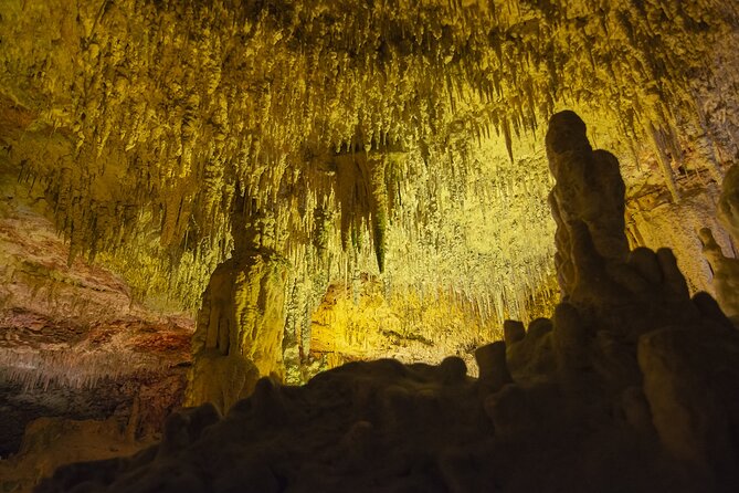Caves Drach Boat Trip from Alcudia with Return Bus and Tickets - Detailed Breakdown of the Tour Itinerary