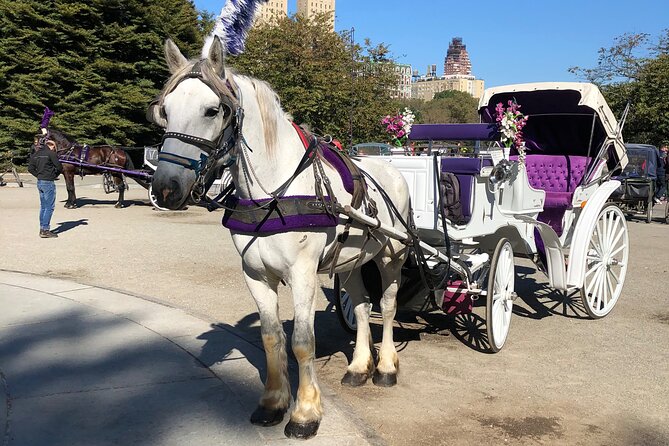 Central Park Horse Carriage Rides Since 2005 - FAQs
