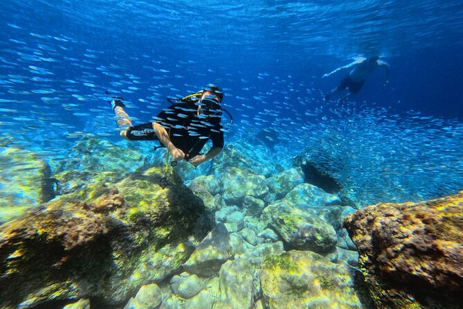 Chania | Try Scuba Diving | Private Introduction Dive - What Reviewers Say