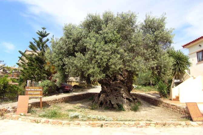 Cheese and Wine Tasting Tour From Chania - How Does the Tour Balance Education and Leisure?