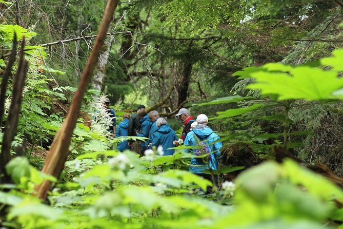 Chilkat Inlet Coastal Hike in Haines - Exploring the Chilkat Inlet Coastal Hike in Detail