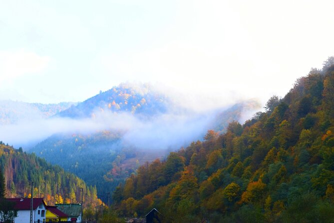 CJ03 - Day trip to Maramures Mocanita Train from Cluj Napoca - An In-Depth Look at the Experience