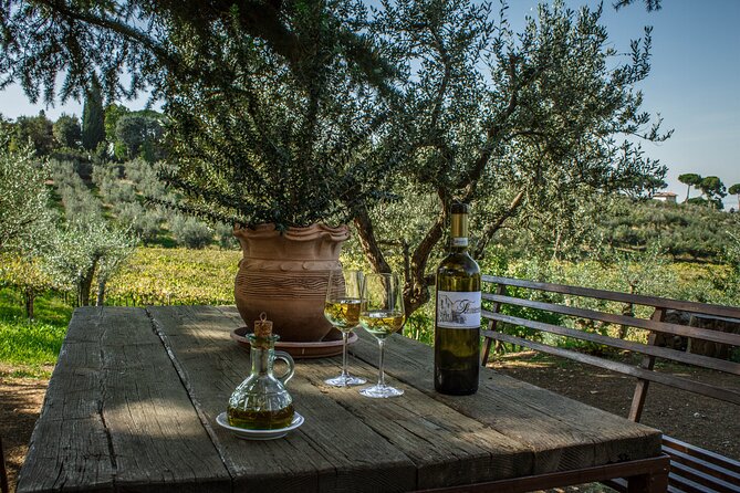 Classic Half-Day Wine Tour in Frascati with Lunch - Who Will Love This Experience?