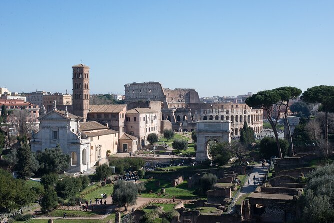 Colosseum Tour with Palatine Hill and Roman Forum - Authentic Insights from Reviewers