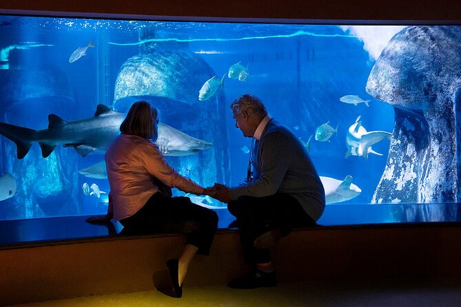 Combo Ticket: Madame Tussauds & SEA LIFE London Aquarium - Who Should Consider This?