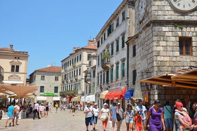 Day Tour of Budva and Kotor Montenegro from From Tirana & Durres - The Practical Side: What You Need to Know
