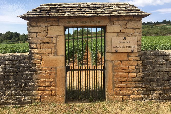 Day tour of the road of the Grands Crus vineyards of Burgundy. - What Guests Love About This Tour