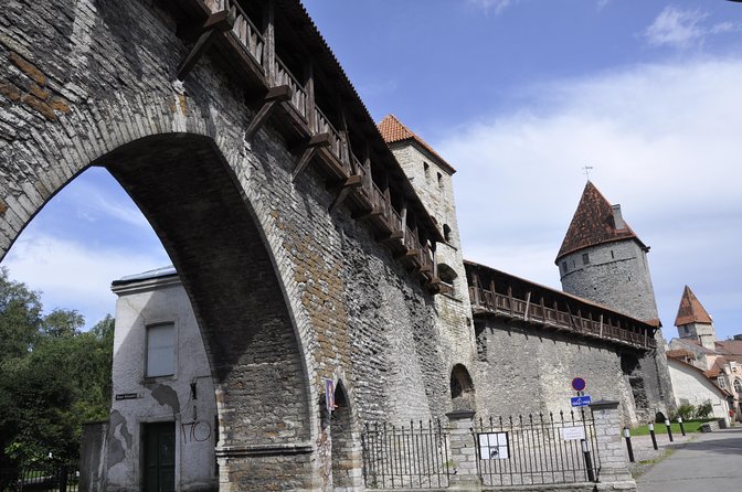 Day trip to Tallinn from Riga - Why This Private Day Trip Offers Great Value