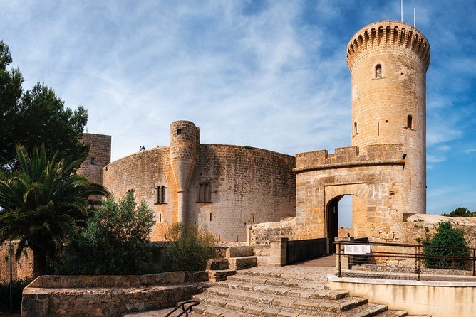 Discover the major cultural attractions of Palma De Mallorca on a Private Tour - What Reviewers Say
