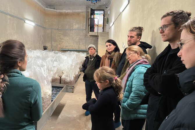 Discover the World of Mushrooms - An In-Depth Look at the Mushroom Farm Tour in Zurich