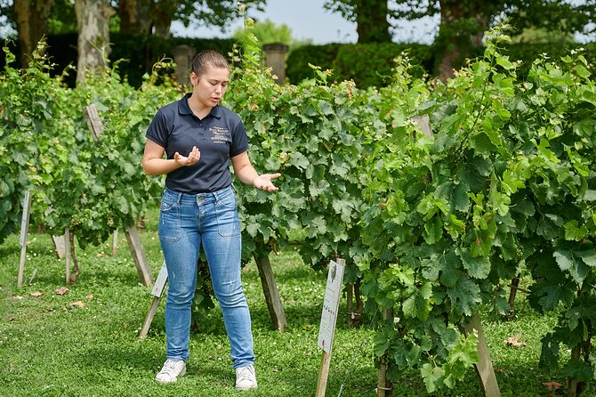 Discovery Tour of Château Haut Breton Larigaudière - Final Thoughts