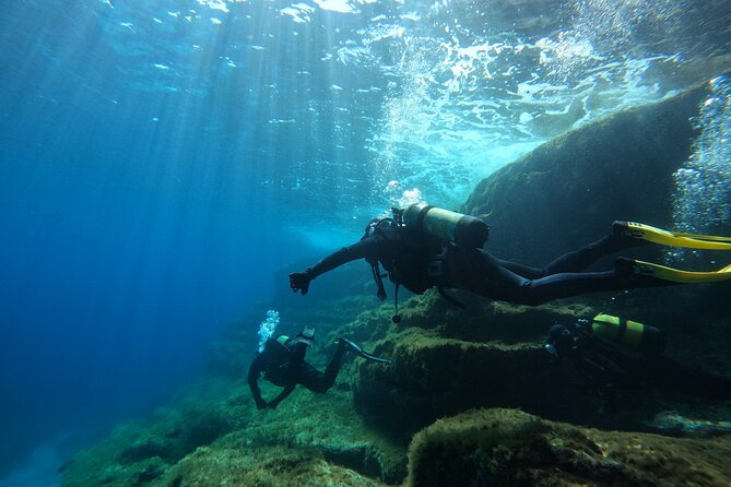 Diving experience in Malta - Why This Tour Is a Great Choice