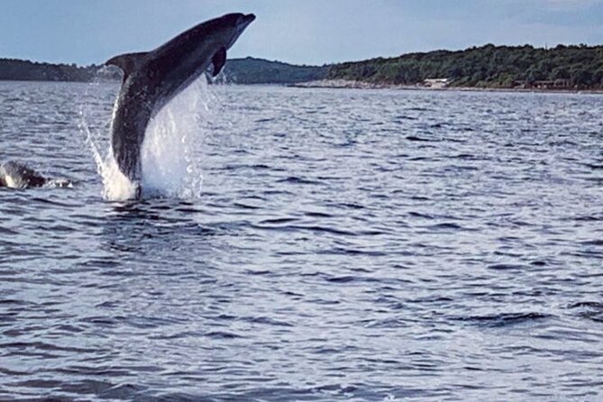 Dolphin Sunrise Adventure with Speedboat - In-Depth Look at the Itinerary