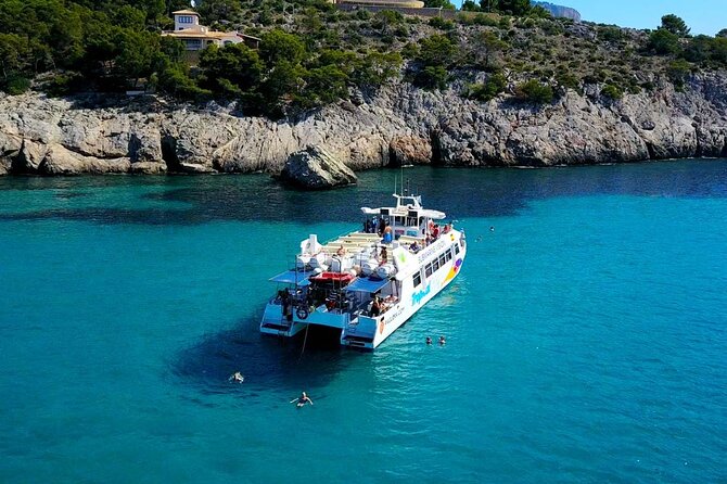 Dolphin Watching in Majorca - Why the Tour Is a Great Choice