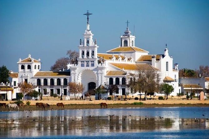 Doñana Natural Park Full-Day Tour from Seville - A Closer Look at the Full-Day Adventure
