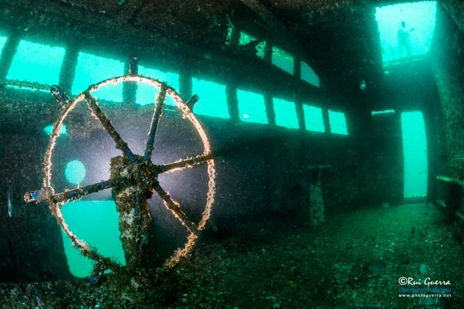 Double Dive the Fantastic Ocean Revival Park - The Value of the Experience