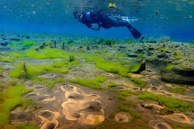 Double Snorkeling Adventure near Húsavík in North Iceland - An In-Depth Look at the Double Snorkeling Tour