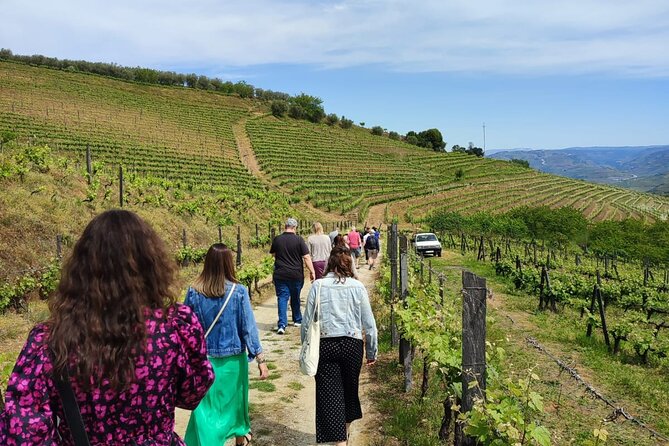 Douro Tour with Wine Tasting, River Cruise and Visit to Lamego - Authentic Experiences and Genuine Value