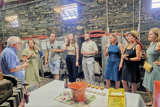 Douro Valley-Expert Guide-Boat-Lunch-Tastings Premium Service - What Sets This Tour Apart