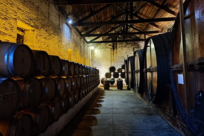 Douro Valley Pinhao Quinta da Foz Tour and Tasting 5 Wines - Who Will Love This Tour?