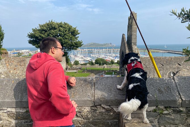 Dublin Coastal Hike and Pints with A local & His Dog Private tour - What the Reviews Say