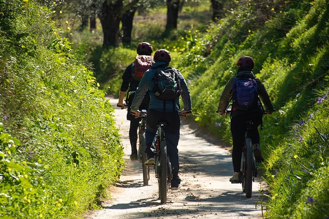 E-Bike Kalamata Olive Routes - Who Would Love This Tour?