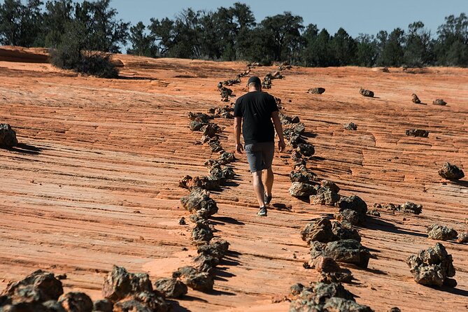 East Zion Outback UTV Tour with Licensed Guide - The Practical Side: Price, Group Size, and Suitability