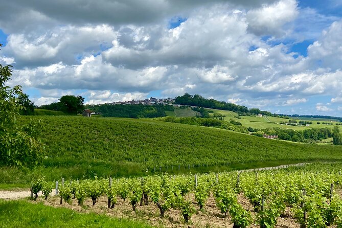 Eco Circuit to Discover Sancerre - Who Will Love This Tour?