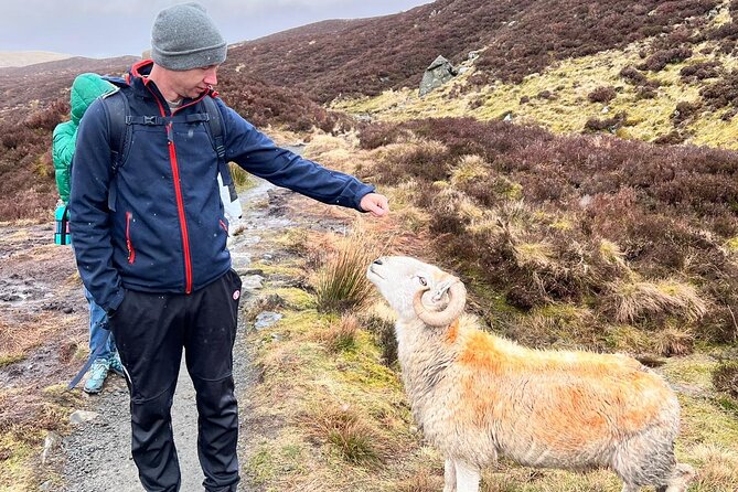 English Speaking Homestay Exploring Edinburgh and National Parks - What Travelers Can Expect