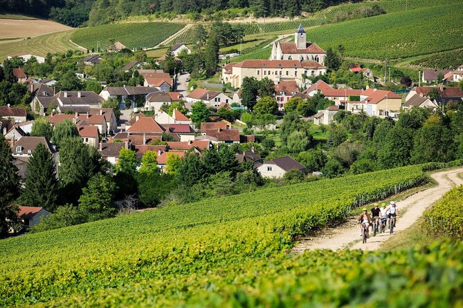 Epernay and Reims Champagne Private Day Trip from Paris - What Does the Price Cover — Is It Worth It?