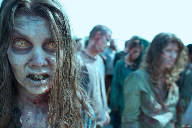 Escape Game Outdoor The Walking Dead in Pau - Why This Experience Might Be Right for You