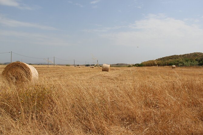Evora Wine & Cork Experience - The Itinerary: A Closer Look