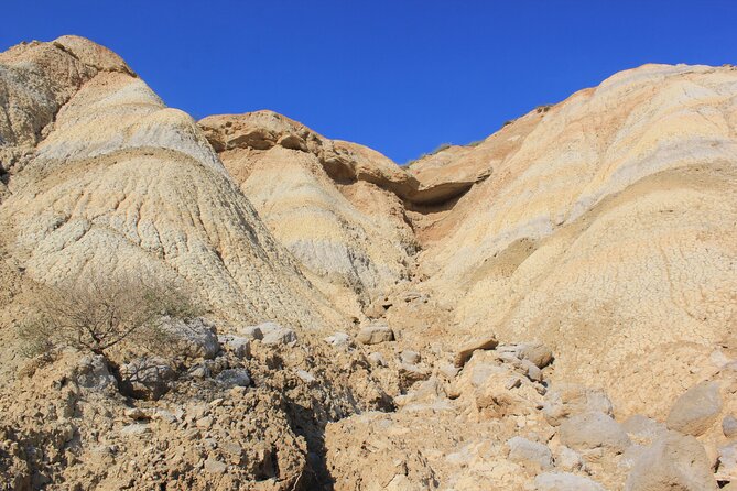 Excursion by car with official guide in Bardenas Reales - Who Would Love This Tour?