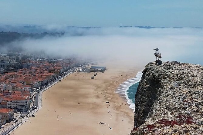 Excursion from Lisbon to Fátima Grutas Nazaré and Óbidos - An In-Depth Look at the Tour