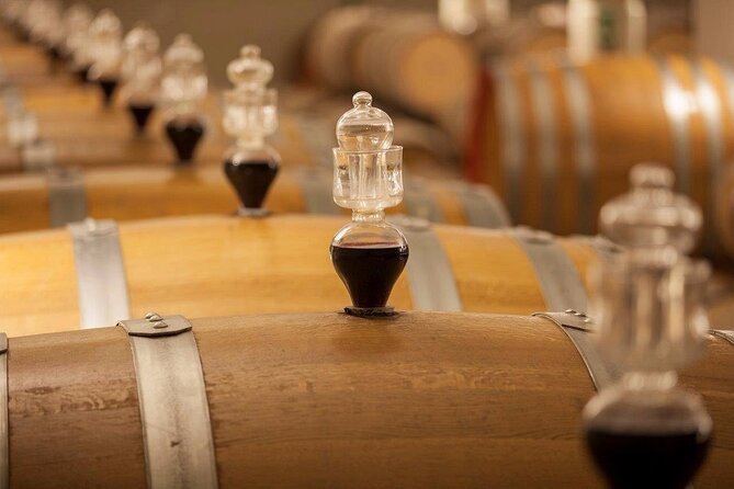 Experience Emilian Wines at Bologna Vineyard Vista - Authentic Insights from Reviewers