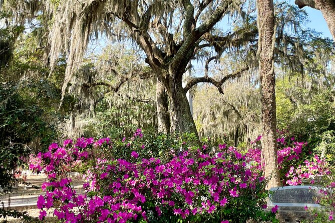 Explore Bonaventure Cemetery with Guided Walking Tour - A Close Look at the Experience