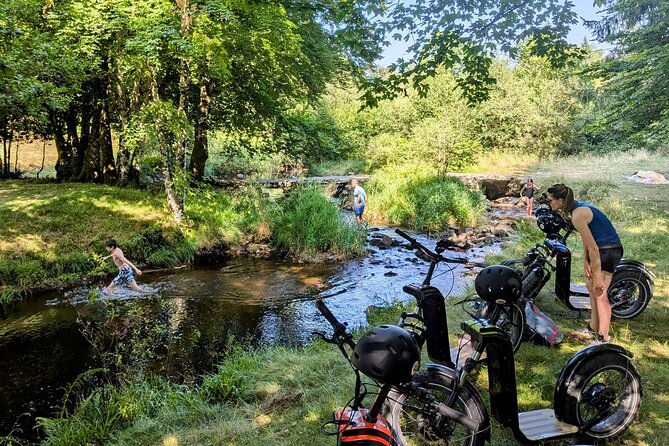 Explore the forests of Haut Languedoc on an electric scooter - Discovering the Forests of Haut Languedoc on Electric Scooters