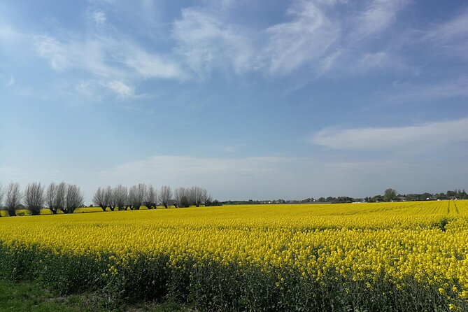 Explore the Instaworthy Spots of Malmö with a Local - A Detailed Breakdown of the Itinerary