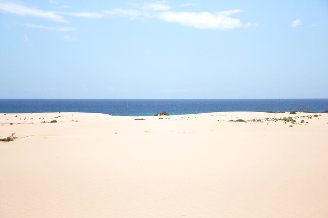 Explore the North of Fuerteventura - Private Camper Tour - FAQs
